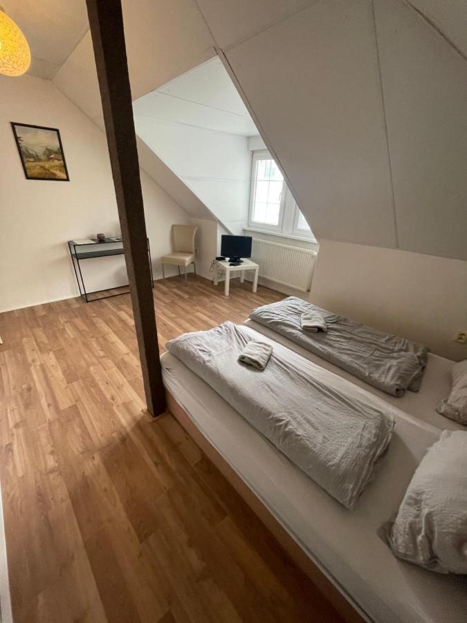 Penzion Ad0Lfovice Jeseník エクステリア 写真